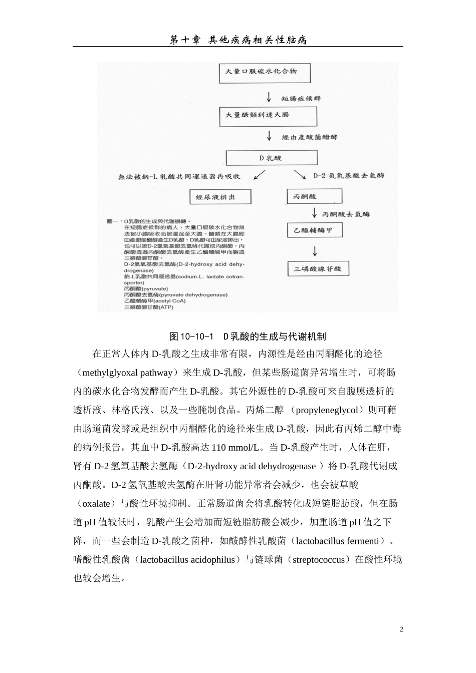 D-乳酸中毒脑病_第2页