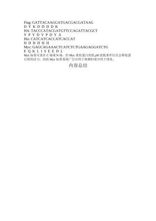 HA、Flag、Myc、His蛋白标签