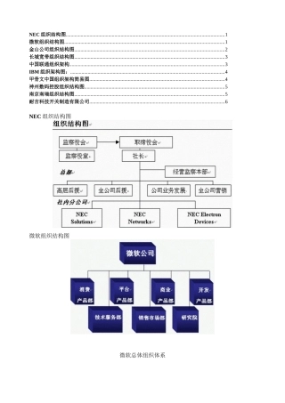 NEC组织结构图1