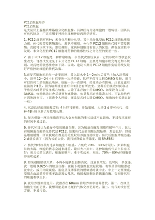 PC12细胞