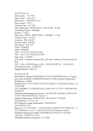 SAP-术语