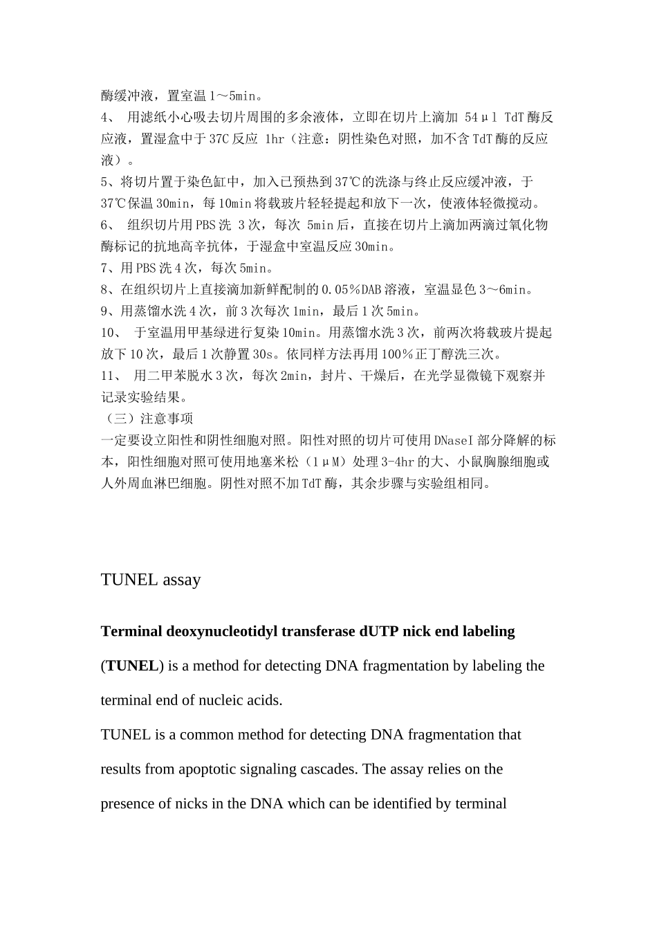 TUNEL染色检测细胞凋亡_第3页