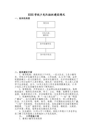 XXX学校少先队组织建设情况