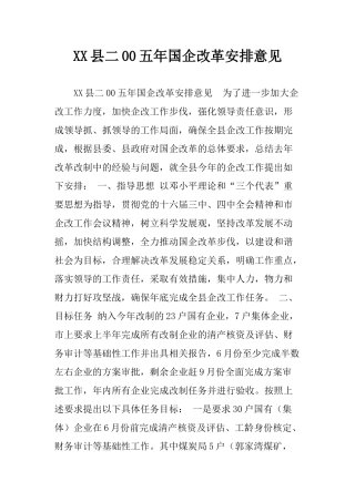 XX县二00五年国企改革安排意见
