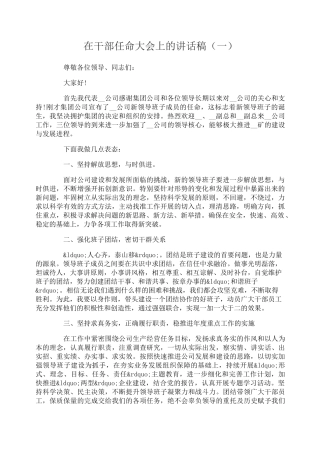 在干部任命大会上的讲话稿