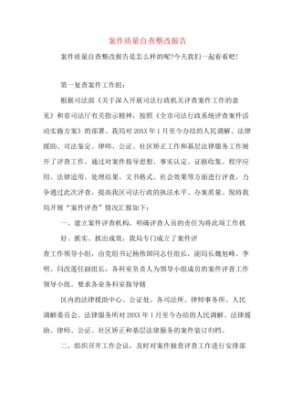 案件质量自查整改报告