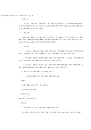 青年成长成才实施方案范文