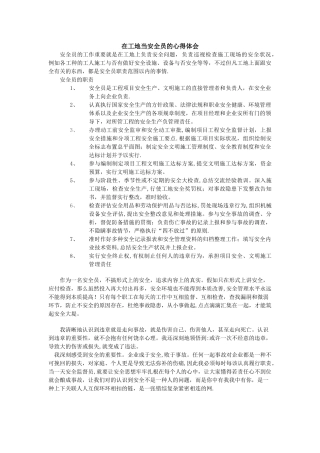 2025年当安全员的心得体会