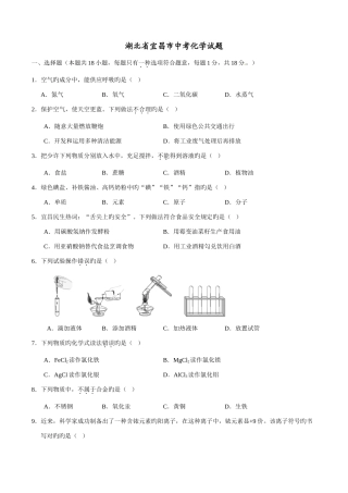2025年中考真题解析化学湖北宜昌卷原卷版