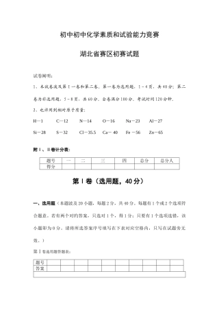 2025年全国初中化学素质和实验能力竞赛湖北