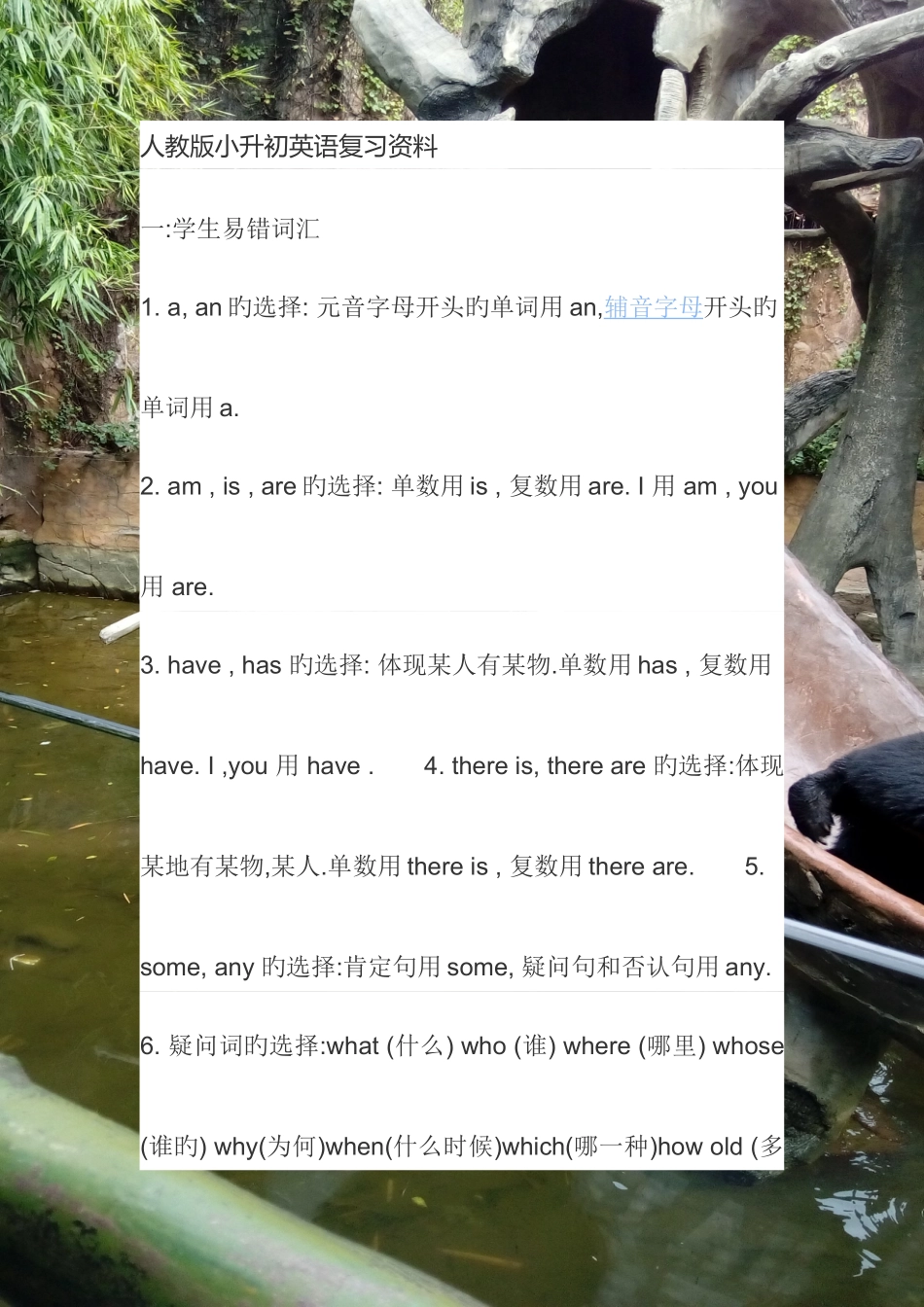 2025年人教版小升初英语复习资料_第1页