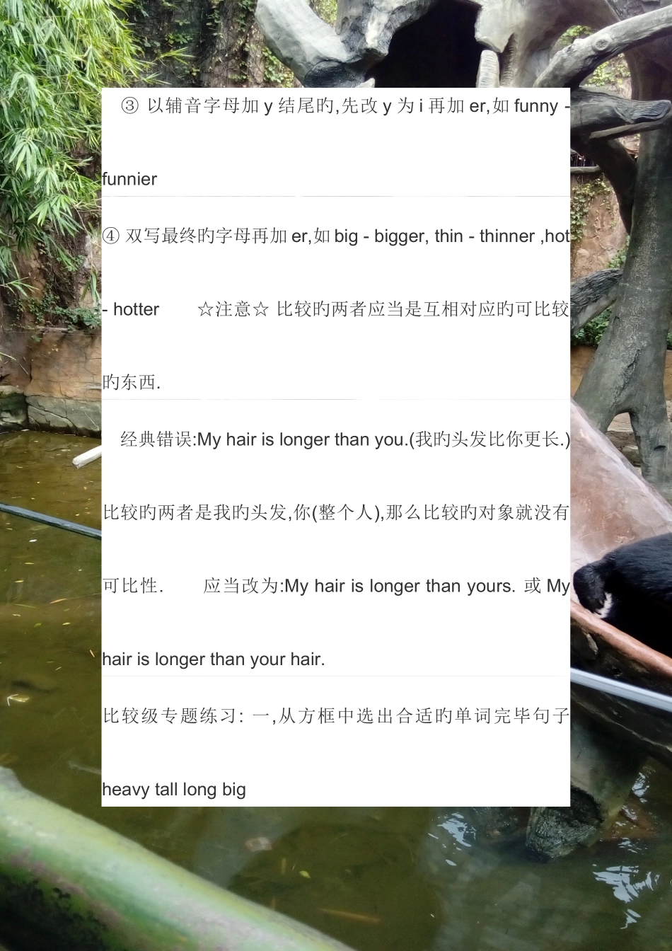 2025年人教版小升初英语复习资料_第3页