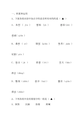2025年初一竞赛