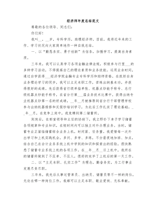 2025年经济师年度总结范文