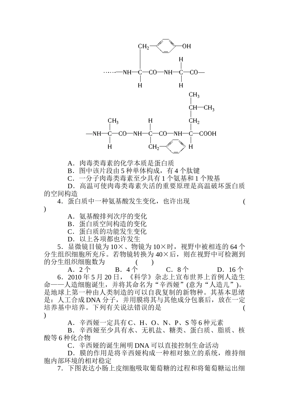 2025年高一生物下册知识点课时作业题_第2页