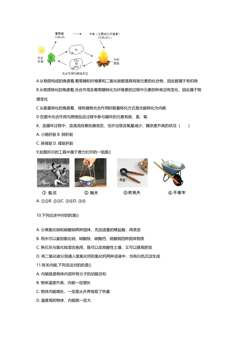 2025年第一学期学业水平测试九年级科学_第3页