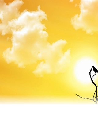 2025年初中物理总复习知识点归纳