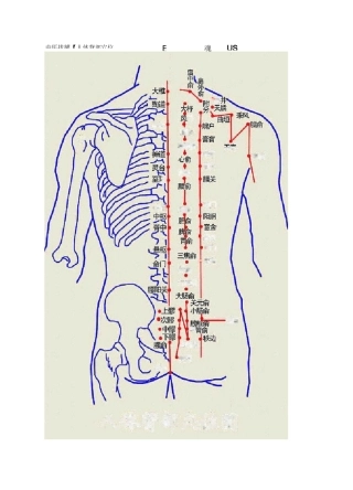 中医拔罐【人体背部穴位图】