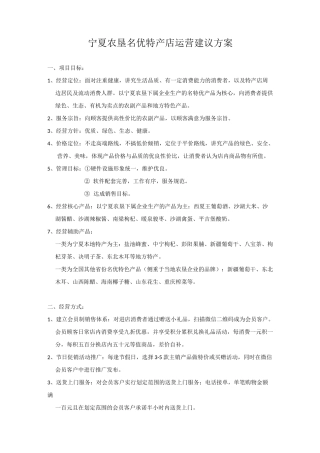 宁夏名优特产店运营建议方案