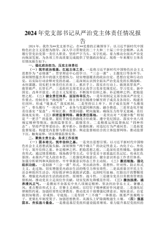 2024年党支部书记从严治党主体责任情况报告