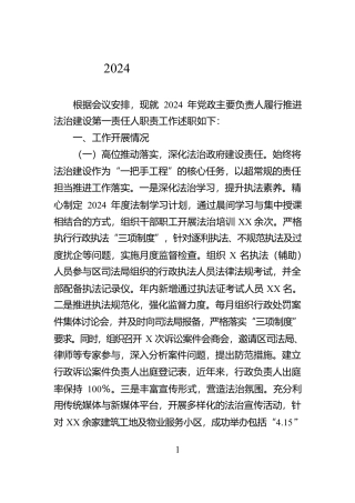 2024年党组书记述法报告【资深秘书】