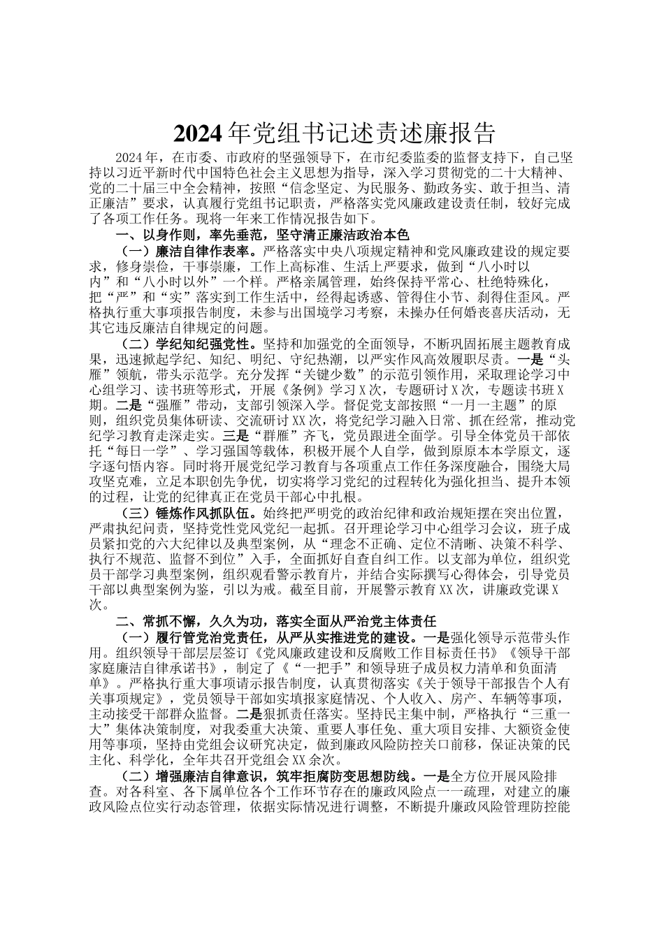 2024年党组书记述责述廉报告_第1页