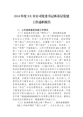 2024年度XX分公司党委书记抓基层党建工作述职报告