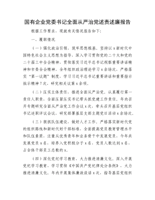 2024年度国企公司书记全面从严治党述责述廉报告1900字【资深秘书】