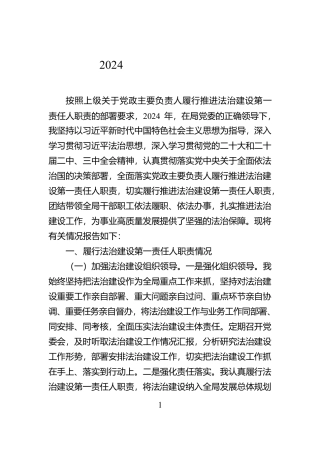 2024年度述法工作报告【资深秘书】