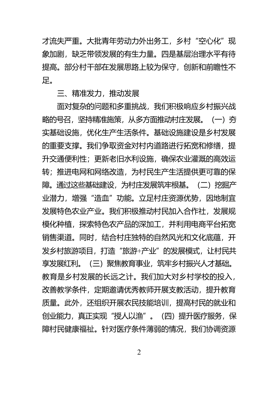 2024年度驻村工作总结【资深秘书】_第2页