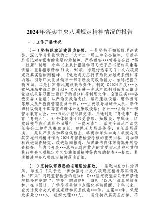 2024年落实中央八项规定精神情况的报告