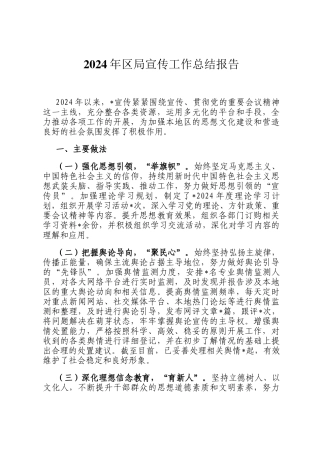 2024年区局宣传工作总结报告