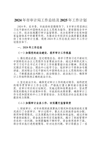 2024年市审计局工作总结及2025年工作计划