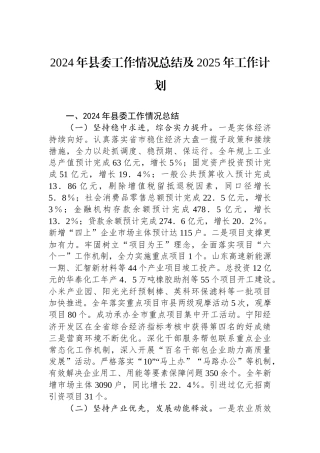 2024年县委工作情况总结及2025年工作计划 【资深秘书】
