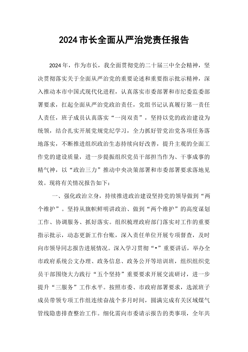 2024市长全面从严治党责任报告【资深秘书】_第1页