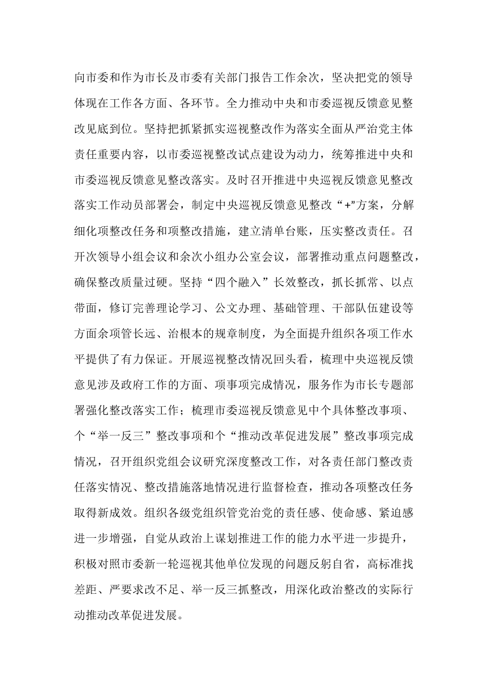 2024市长全面从严治党责任报告【资深秘书】_第2页