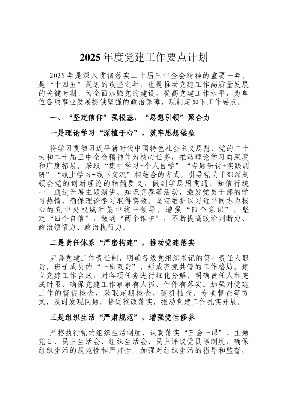 2025年度党建工作要点计划_第1页