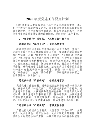2025年度党建工作要点计划