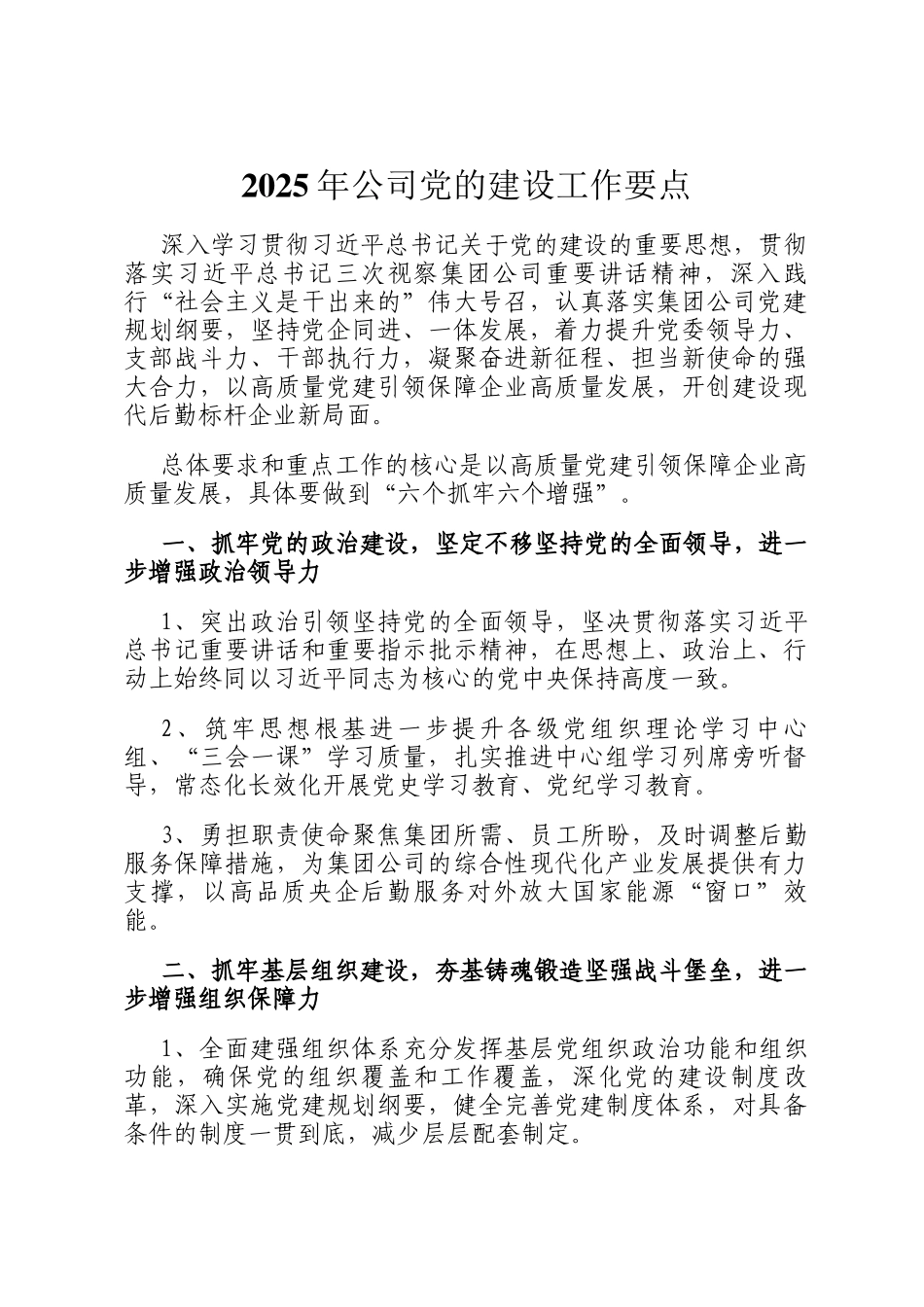 2025年公司党的建设工作要点_第1页