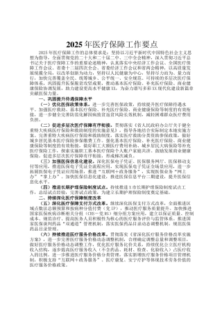 2025年医疗保障工作要点