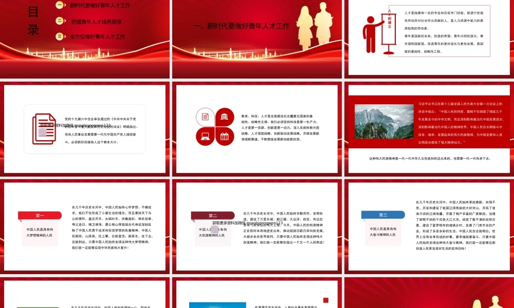 20250212做好新时代党的青年人才工作（五四青年节、年轻干部、共青团）（PPT)