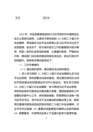 XX市应急管理局2024年法治政府建设年度报告【资深秘书】