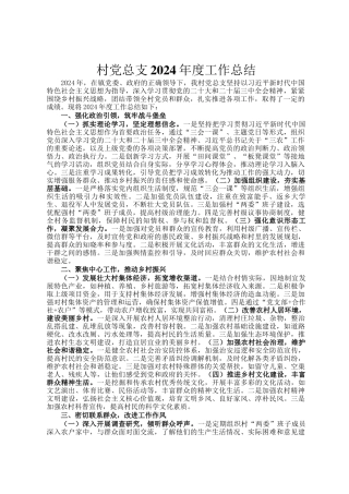 村党总支2024年度工作总结