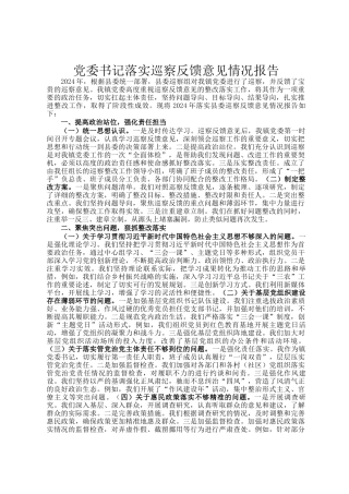 党委书记落实巡察反馈意见情况报告