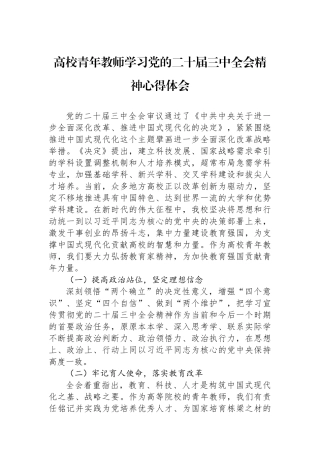 高校青年教师学习党的二十届三中全会精神心得体会【资深秘书】