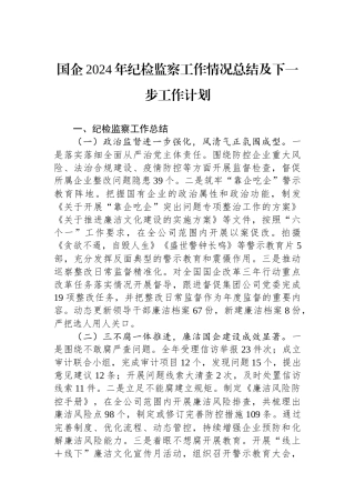 国企2024年纪检监察工作情况总结及下一步工作计划 【资深秘书】