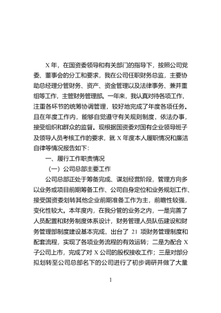 国企财务总监述职述廉报告【资深秘书】