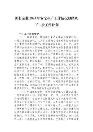 国有企业2024年安全生产工作情况总结及下一步工作计划 【资深秘书】
