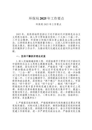 环保局2025年工作要点