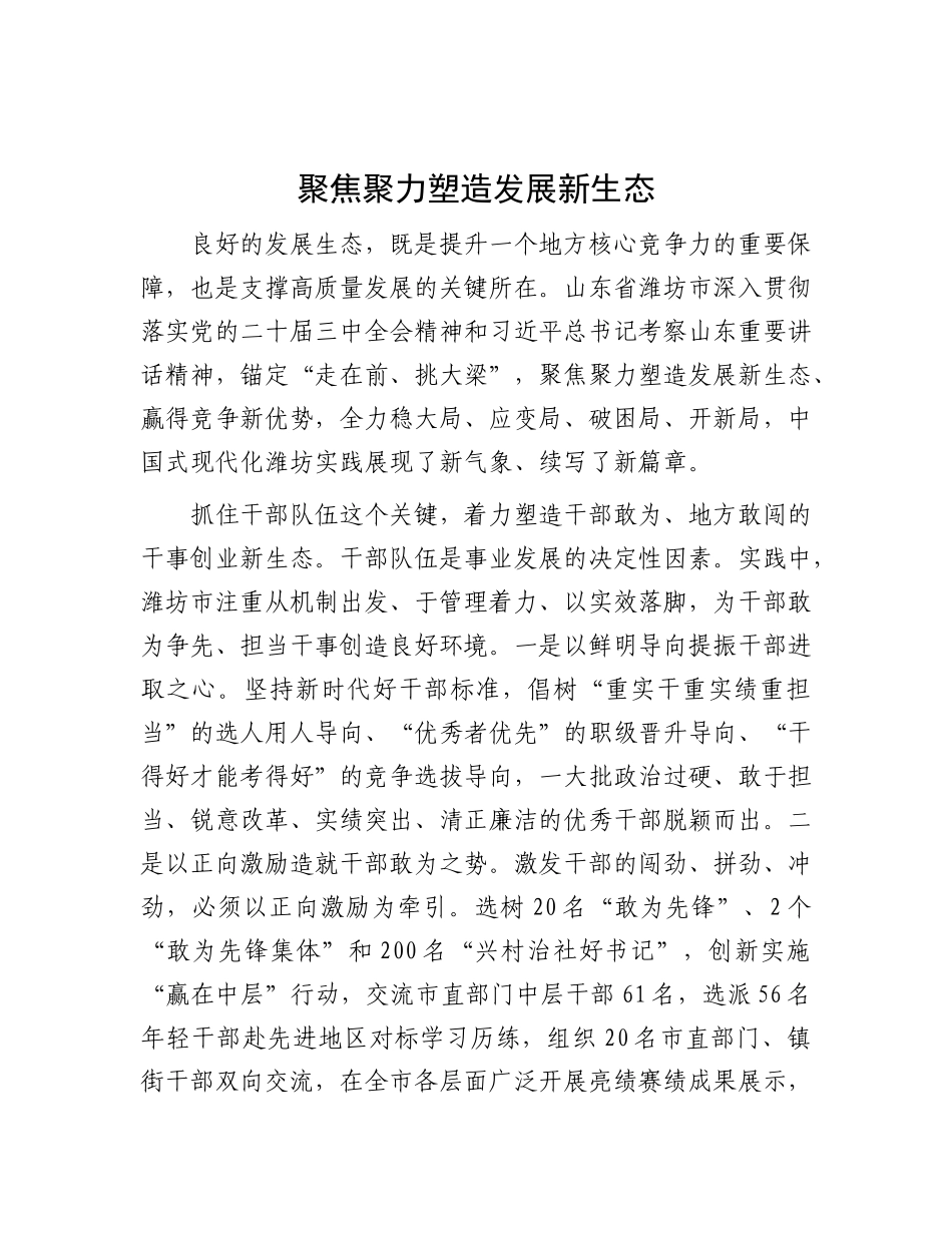 聚焦聚力塑造发展新生态【资深秘书】_第1页